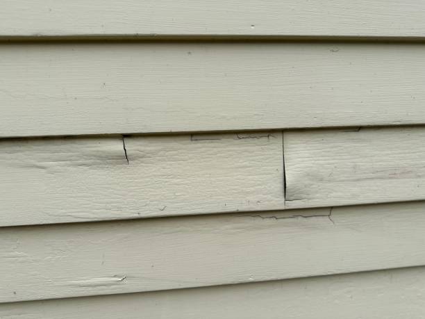 Best Aluminum Siding Installation  in Belle Haven, VA